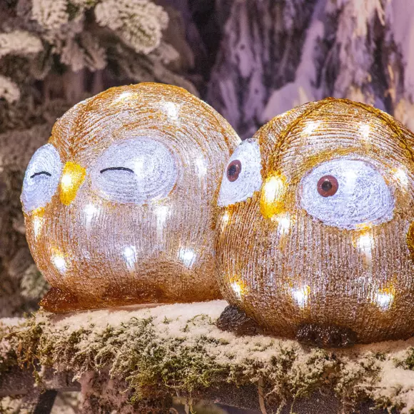 Búho luminoso a pilas Léon Blanco frío 30 LED 3