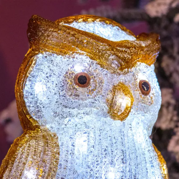 Hibou lumineux à piles Juliette Blanc froid 30 LED 2