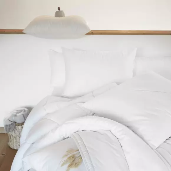 Almohada anti ácaros rectangular (70 cm) Sirius Blanco