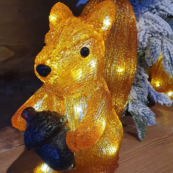 Ecureuil lumineux à piles Franklin Blanc froid 30 LED 2