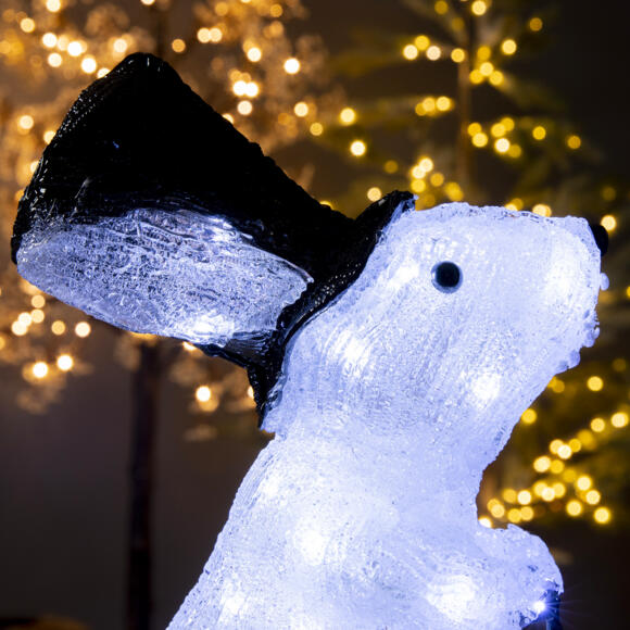 Verlicht konijn Fiets Koud wit 64 LED