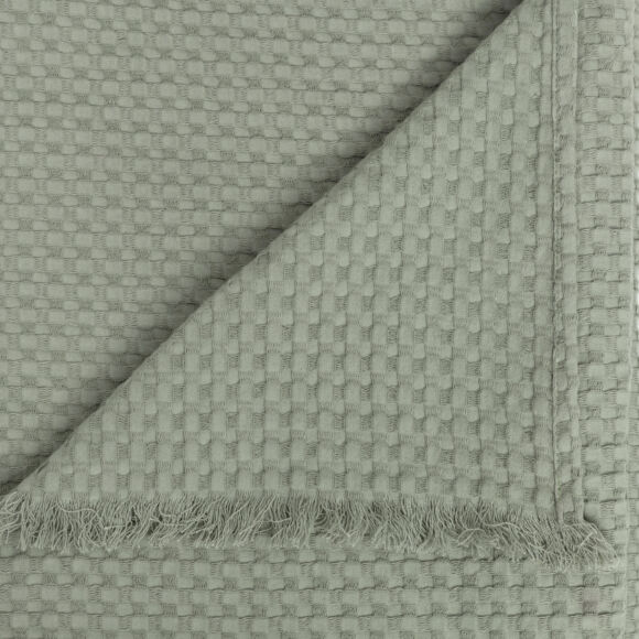 Manta de algodón para sillón (130 x 180 cm) Widdy Verde celadón