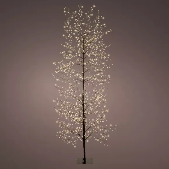 Lichtgevende boom 1755 LED (H180 cm) Wonderland Warm wit