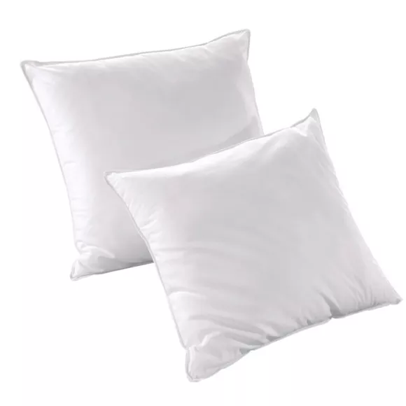 LOT COUETTE 240x260cm + 2 OREILLERS ANTI-ACARIENS 60x60cm EMINZA (DONNER UN NOM)