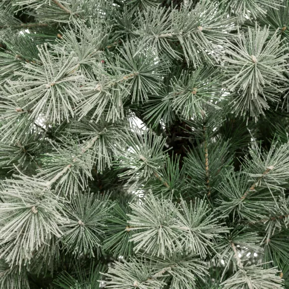 SAPIN NORDSTAR 180CM