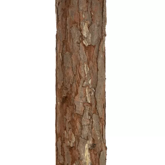 SAPIN NORDSTAR 180CM