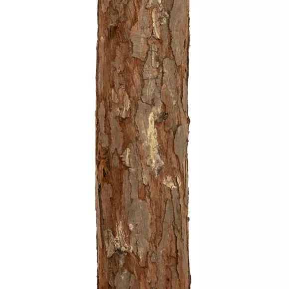 SAPIN NORDSTAR 150CM
