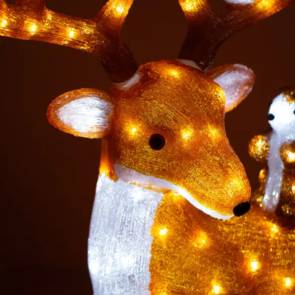 Renne lumineux et ses amis Blanc chaud 140 LED 2