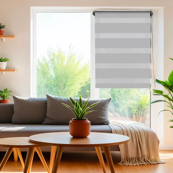 Store enrouleur Jour / Nuit (45 x 180 cm) Gris clair 2