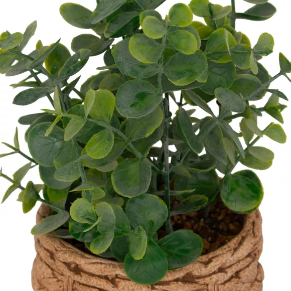 Plante artificielle en pot cimenté (H27 cm) Eucalyptus Jaye