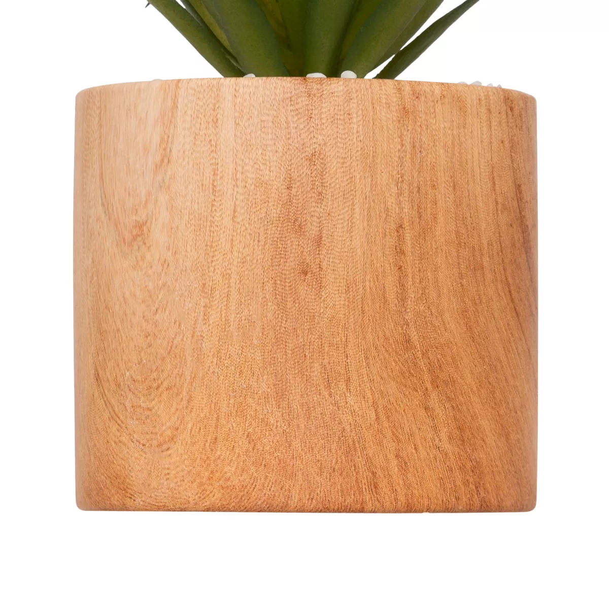 Kunstpflanze im Topf (H17 cm) Sao Fettpflanze