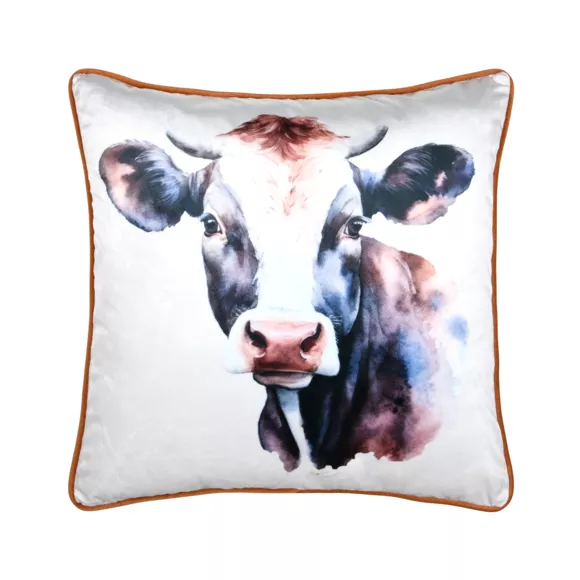 COUSSIN FERNANDE BRUN 50X50