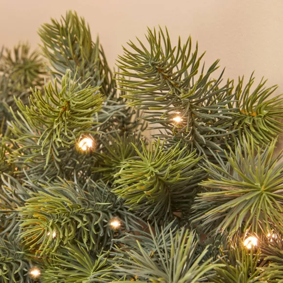 Ghirlanda abete luminosa Winnipeg Bianco caldo