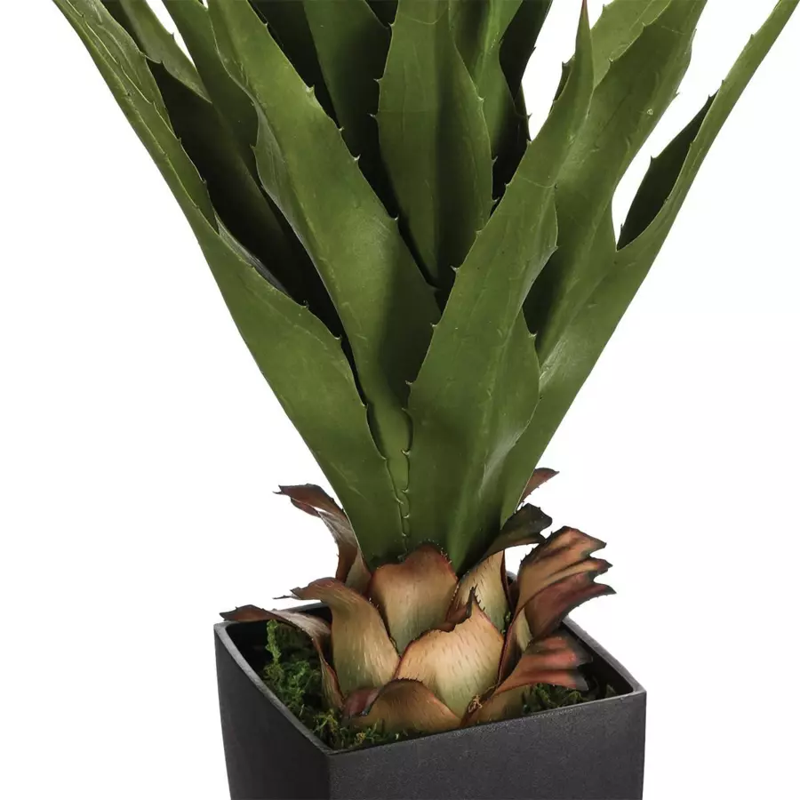 Planta en maceta Rurik Verde 4