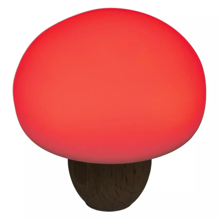 Luz nocturna Champignon Blanco 4