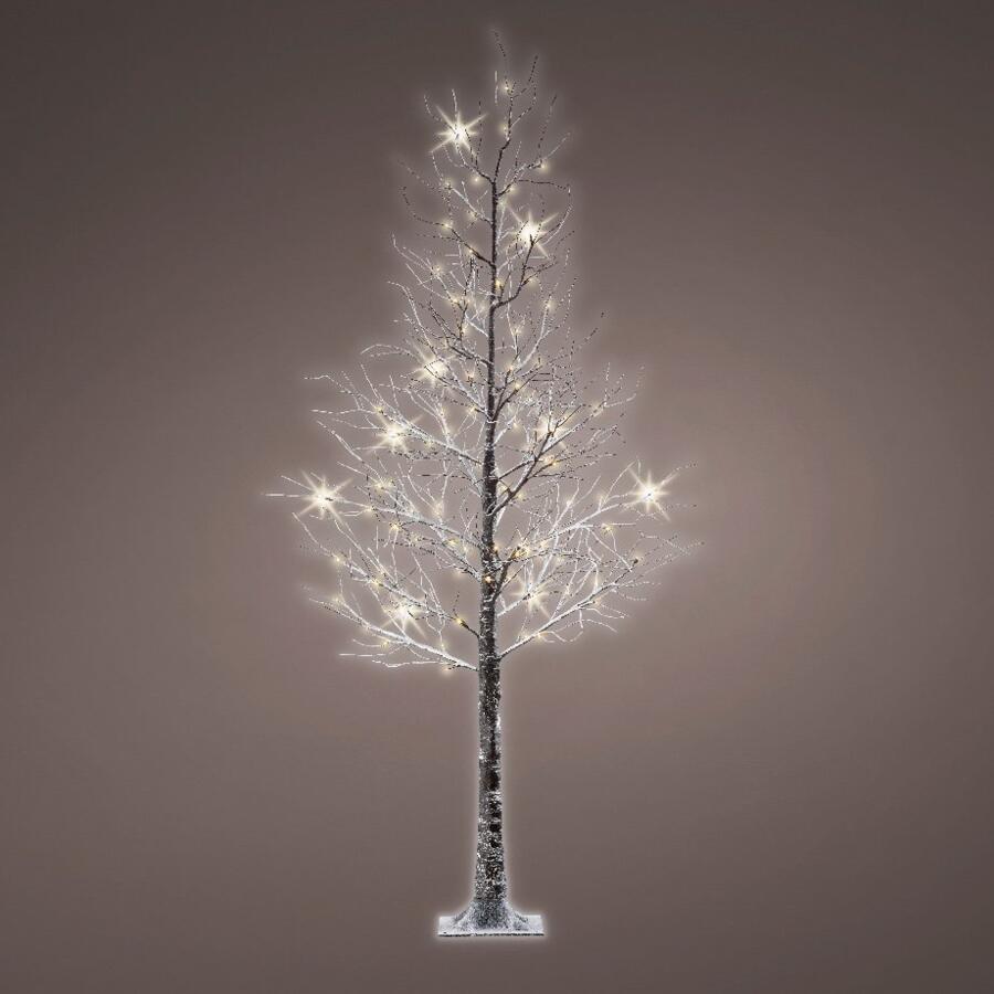 Pioppo luminoso Otello Alt. 125 cm Bianco caldo 4