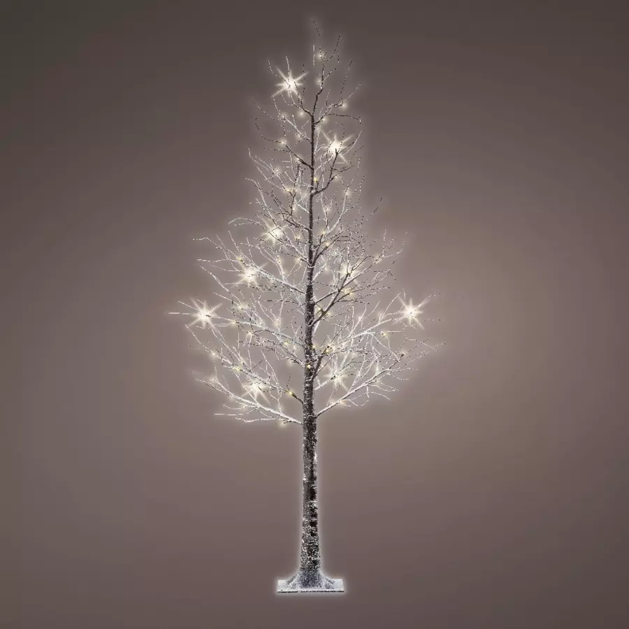 Álamo luminoso Loay Altura 125 Blanco cálido 4