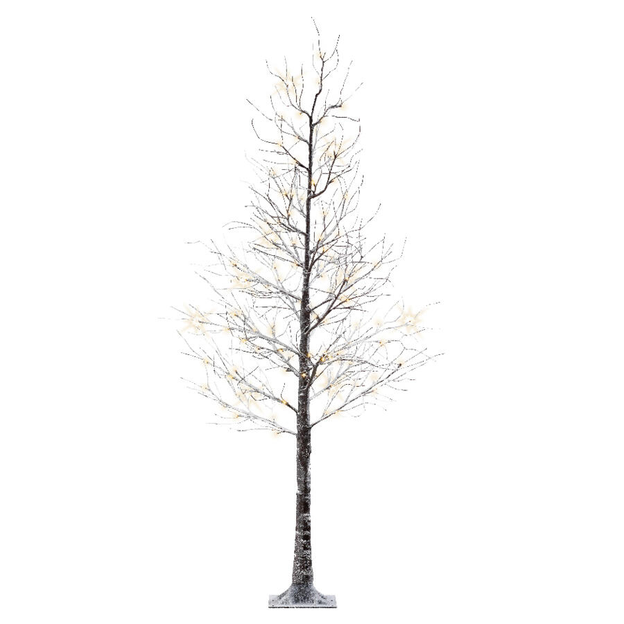 Lichterbaum Pappel Loay H240 cm Warmweiß 5