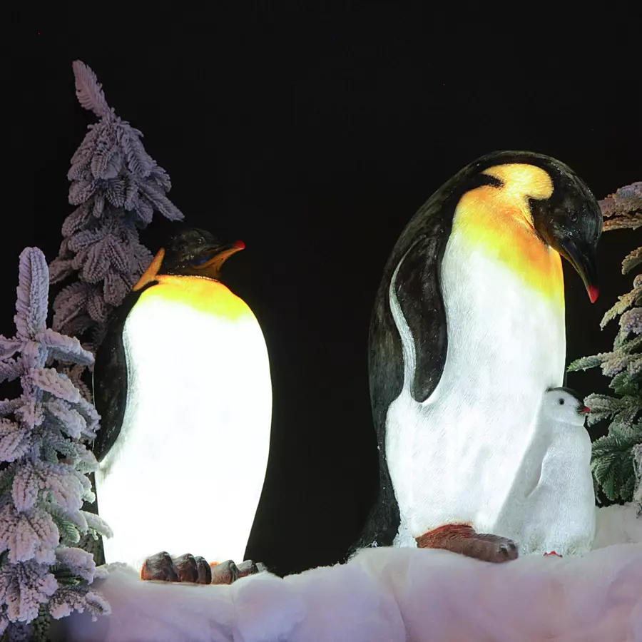 Pingouin lumineux Zélian Blanc froid 8 LED 5