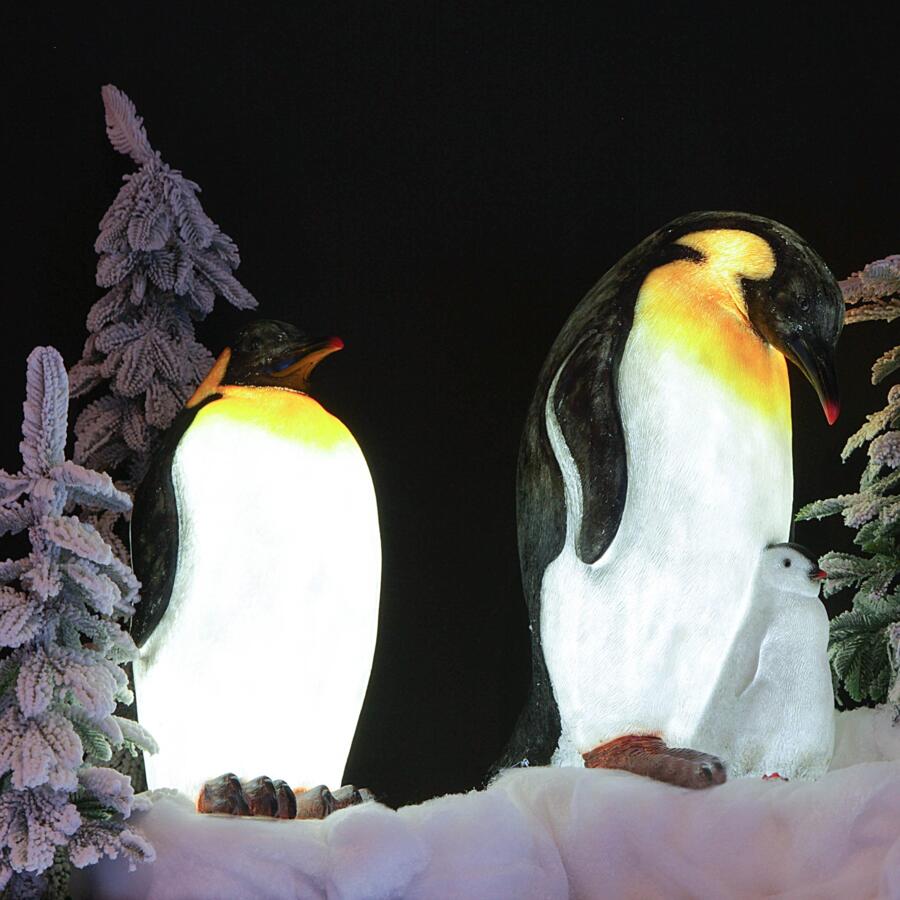 Pingouin lumineux et son bébé Blanc froid 8 LED 4