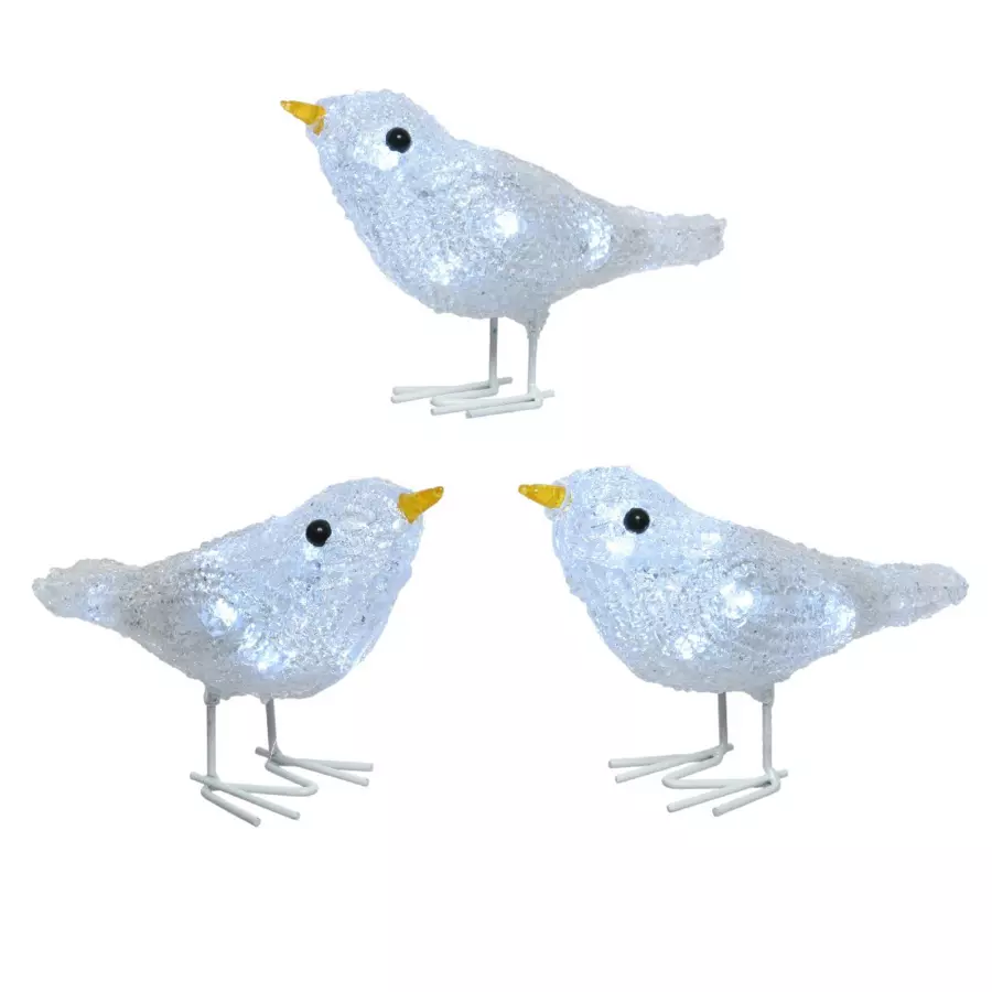 Lote de 3 pájaros luminosos Curruca Blanco frío 30 LED 4
