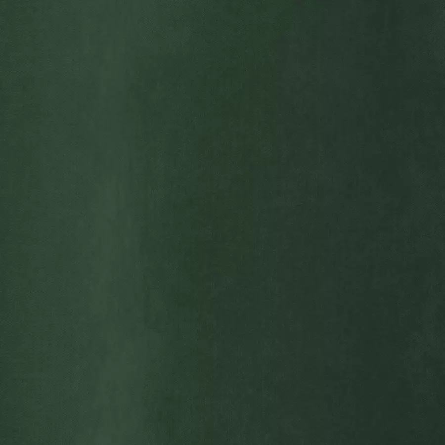 Rideau velours (140 x 260 cm) Memo Vert cèdre 5