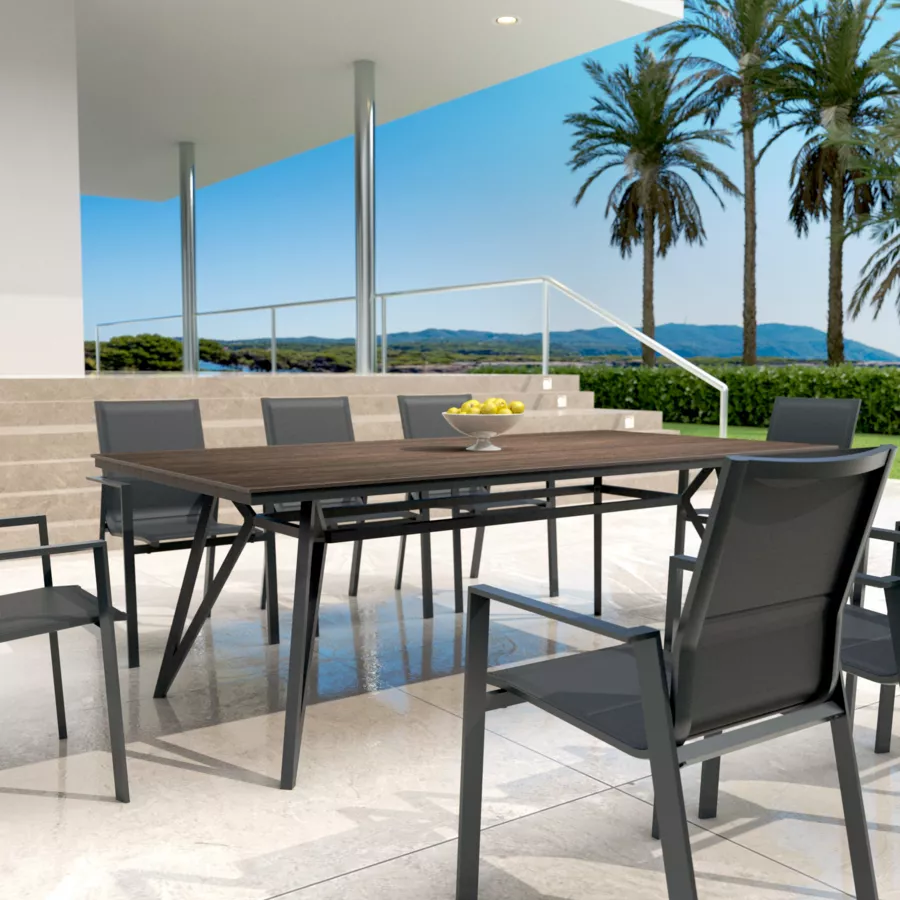 Mesa de jardín en aluminio/HPL 10 lugares (220 x 115 cm) Biarritz - Efecto madera/Gris antracita
