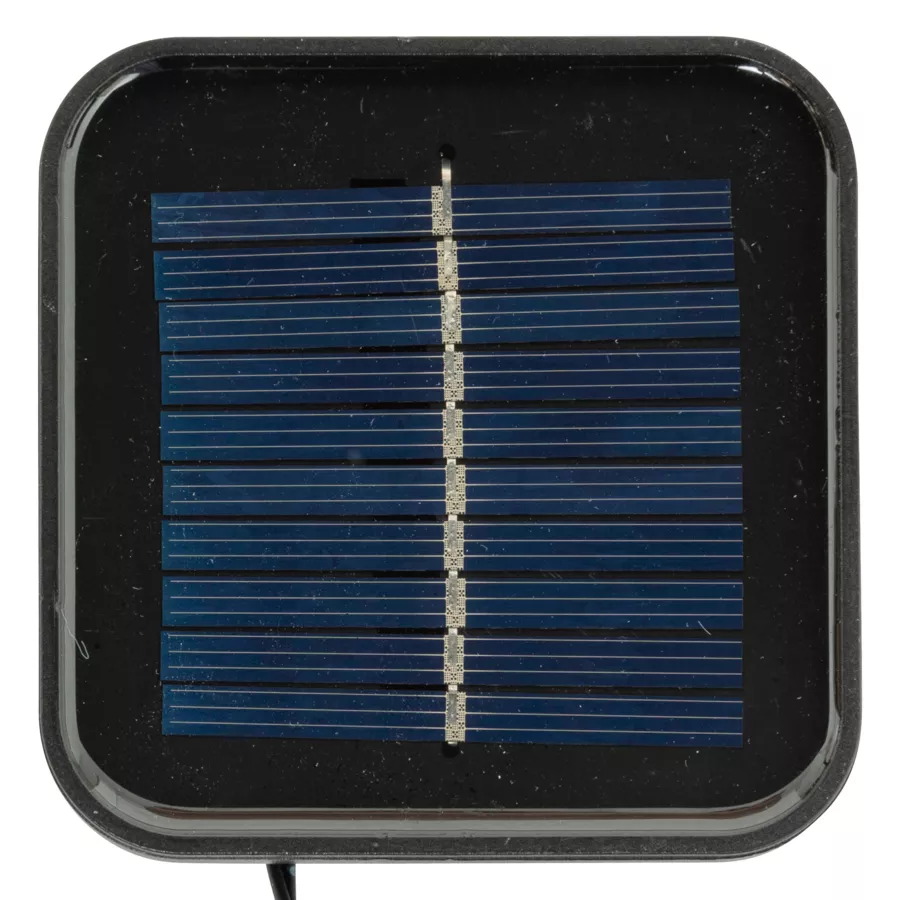 SILHOUETTE LUMINEUSE EXT CHAMPI 30L 8F H21 SOL