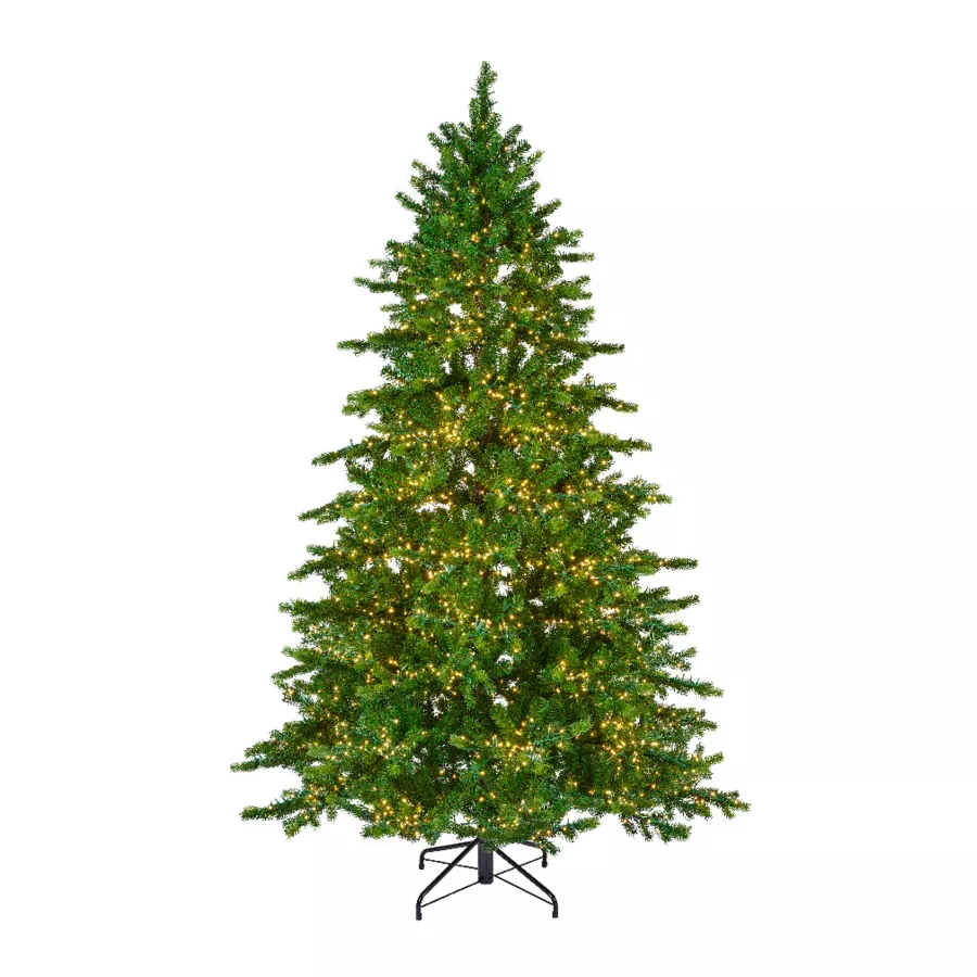 Sapin de Noël artificiel lumineux 4000 LED H210 cm Caucasia Nordmann Vert sapin