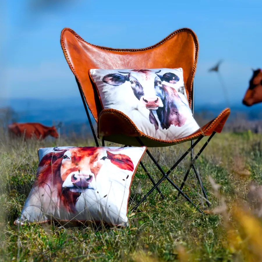 COUSSIN FERNANDE BRUN 50X50