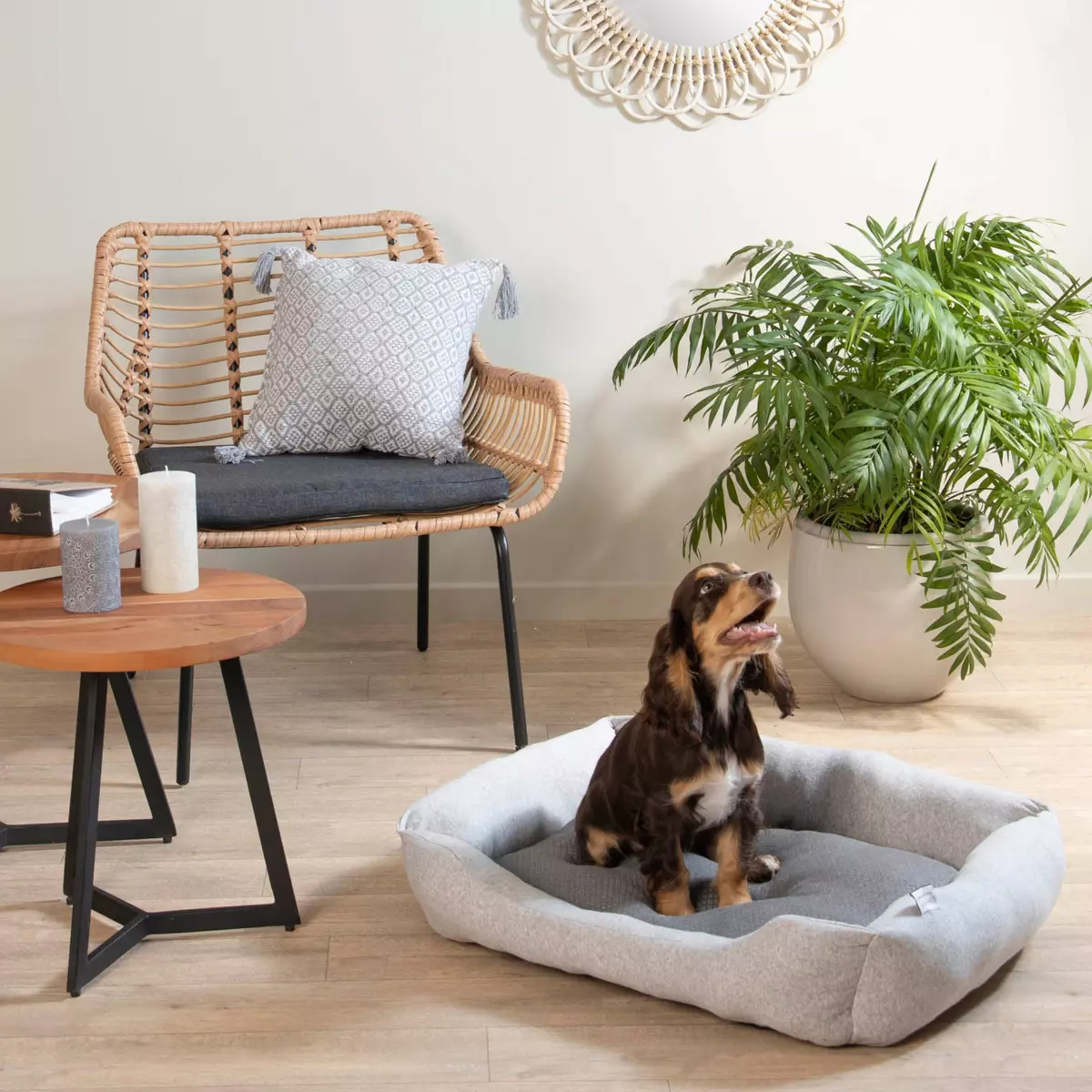 Mand ovaal (hond & kat) Graphène L55 cm Grijs 1