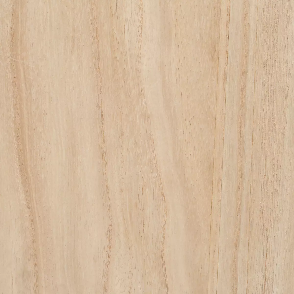 Table coffre Shiro Blanche 5