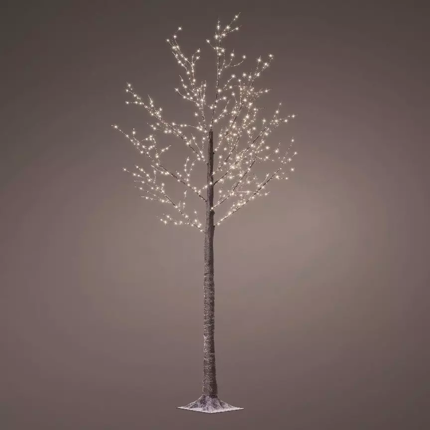 Abedul luminoso Leyna Altura 220 cm Blanco cálido 4