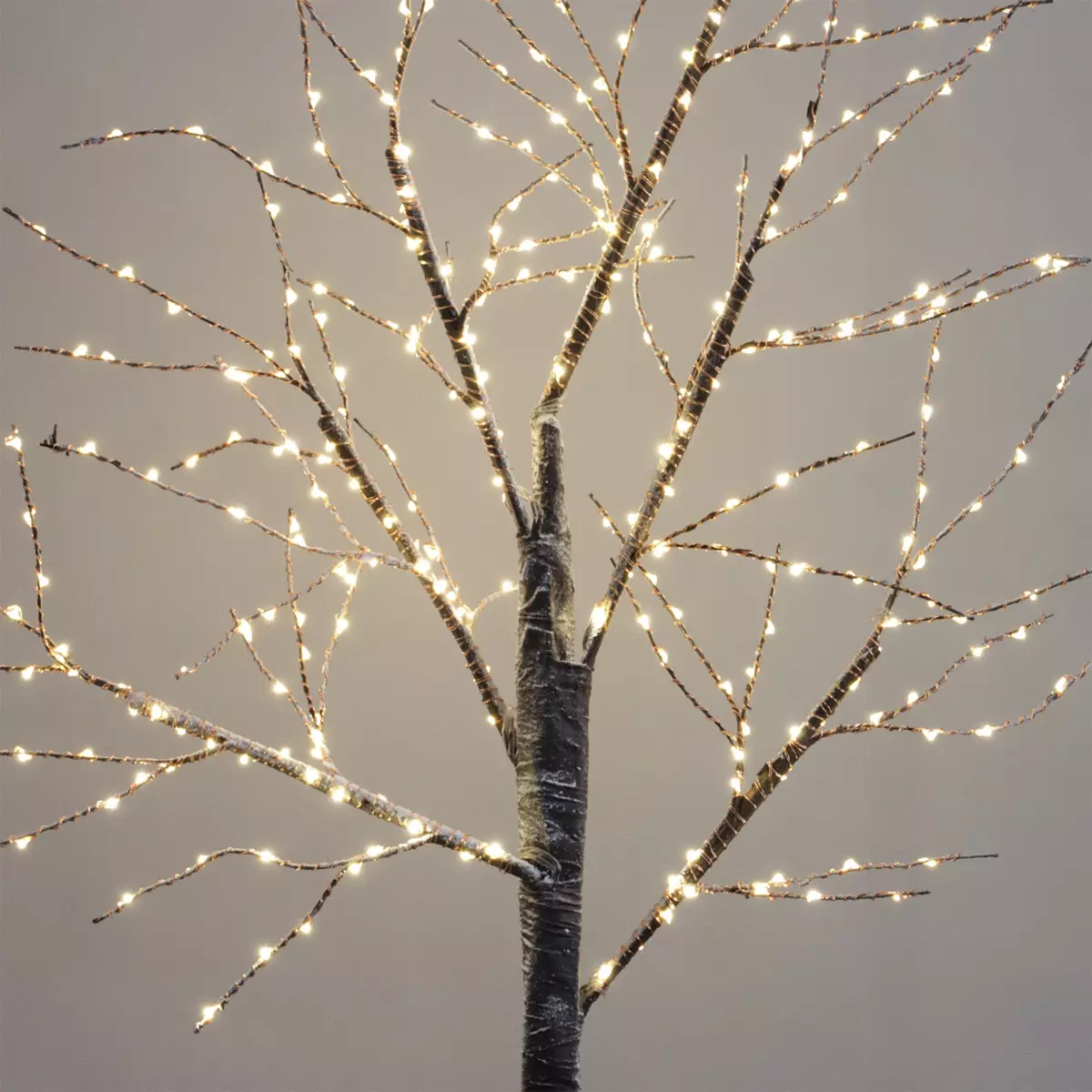Abedul luminoso Cayden Micro LED alto 100 cm Blanco cálido 2