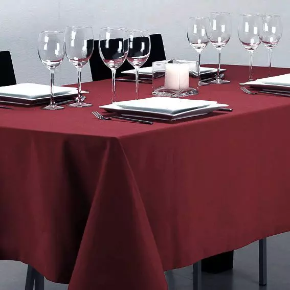 Nappe rectangulaire anti tache (L240 cm) Lina Rouge bordeaux 1