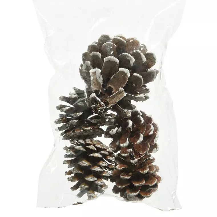 Lot de 5 pommes de pin Pinus nigra enneigées  Naturel 2