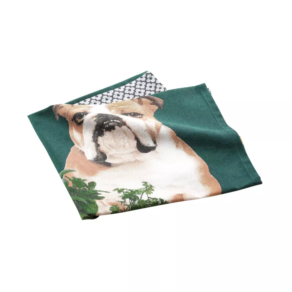 Torchon (70 cm) Hot dog Vert 2