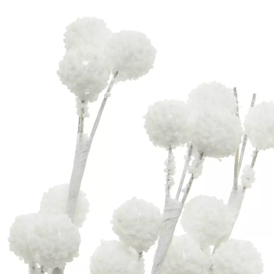 Zweig-Set Artiqua Weiß 2