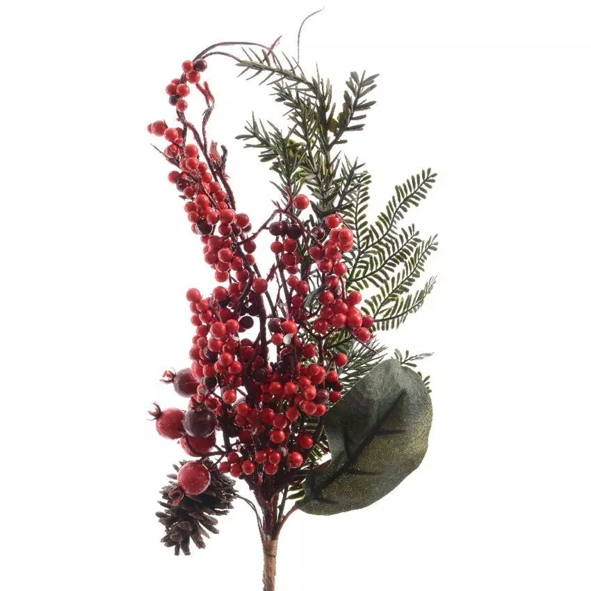 Natuurlijke tak  Hectoria grand format Rood 1