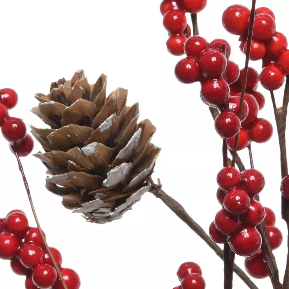 Branche  Malia Rouge 2