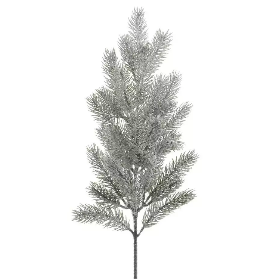 Verschneiter Zweig Omorika Grün verschneit 1