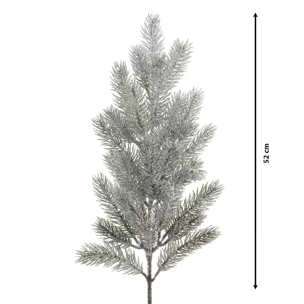 Verschneiter Zweig Omorika Grün verschneit 3