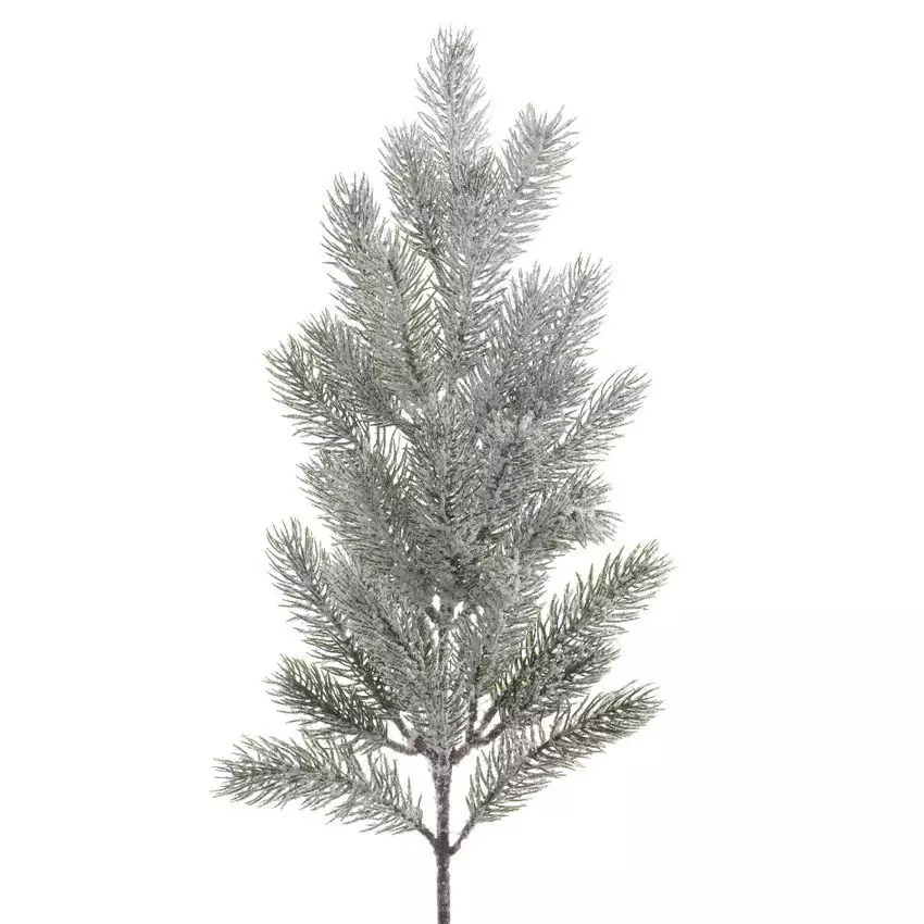 Besneeuwde tak Tinderami besneeuwd groen 1