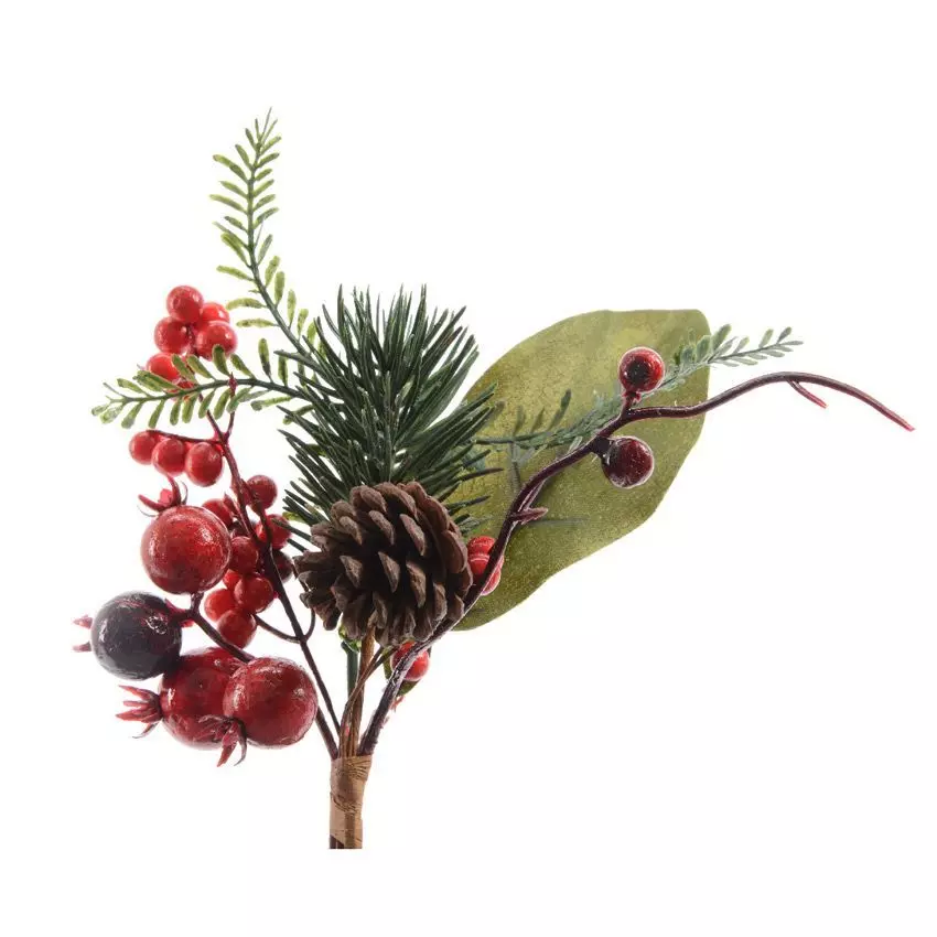 Natuurlijke tak  Hectoria petit format Rood 1