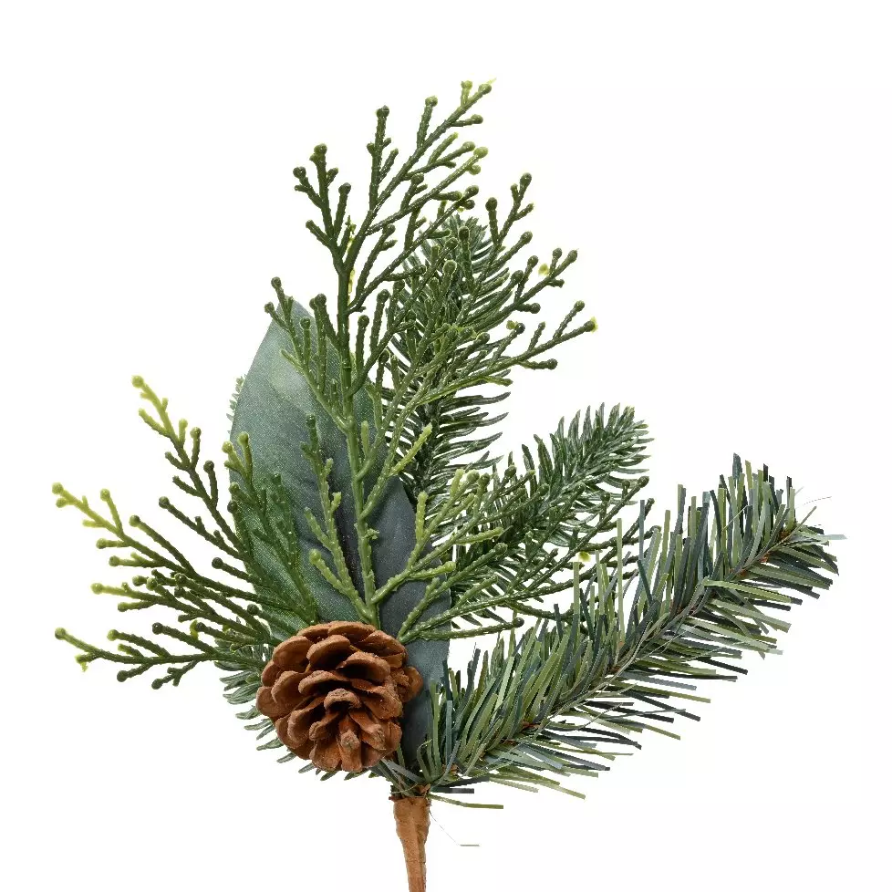 Natuurlijke tak  Ros Groen 1