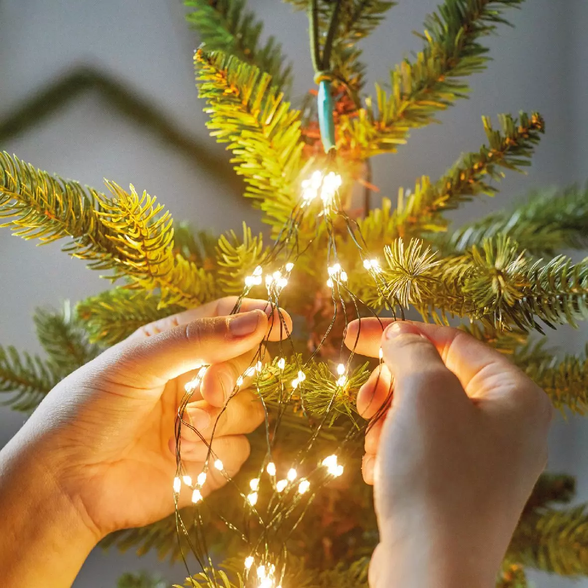 Cortina de luces para árbol Micro led H2,40 m Blanco cálido 832 LED 2