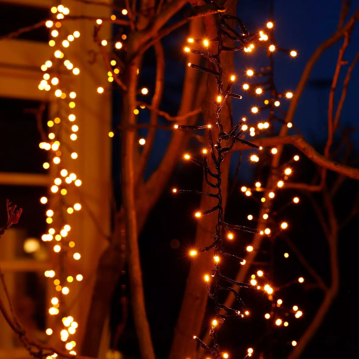 Cascade lumineuse effet scintillant L2 m Blanc chaud 480 LED CN 4