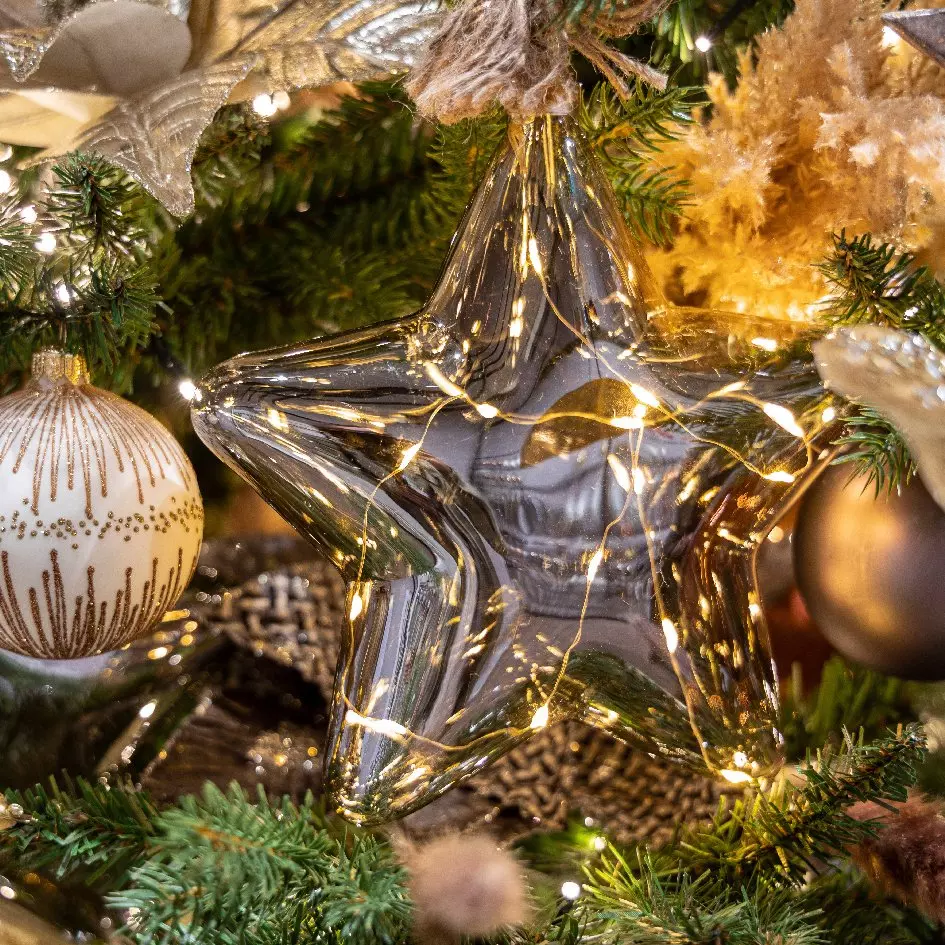 Stella luminosa a pile Corde Bianco caldo 15 LED 1