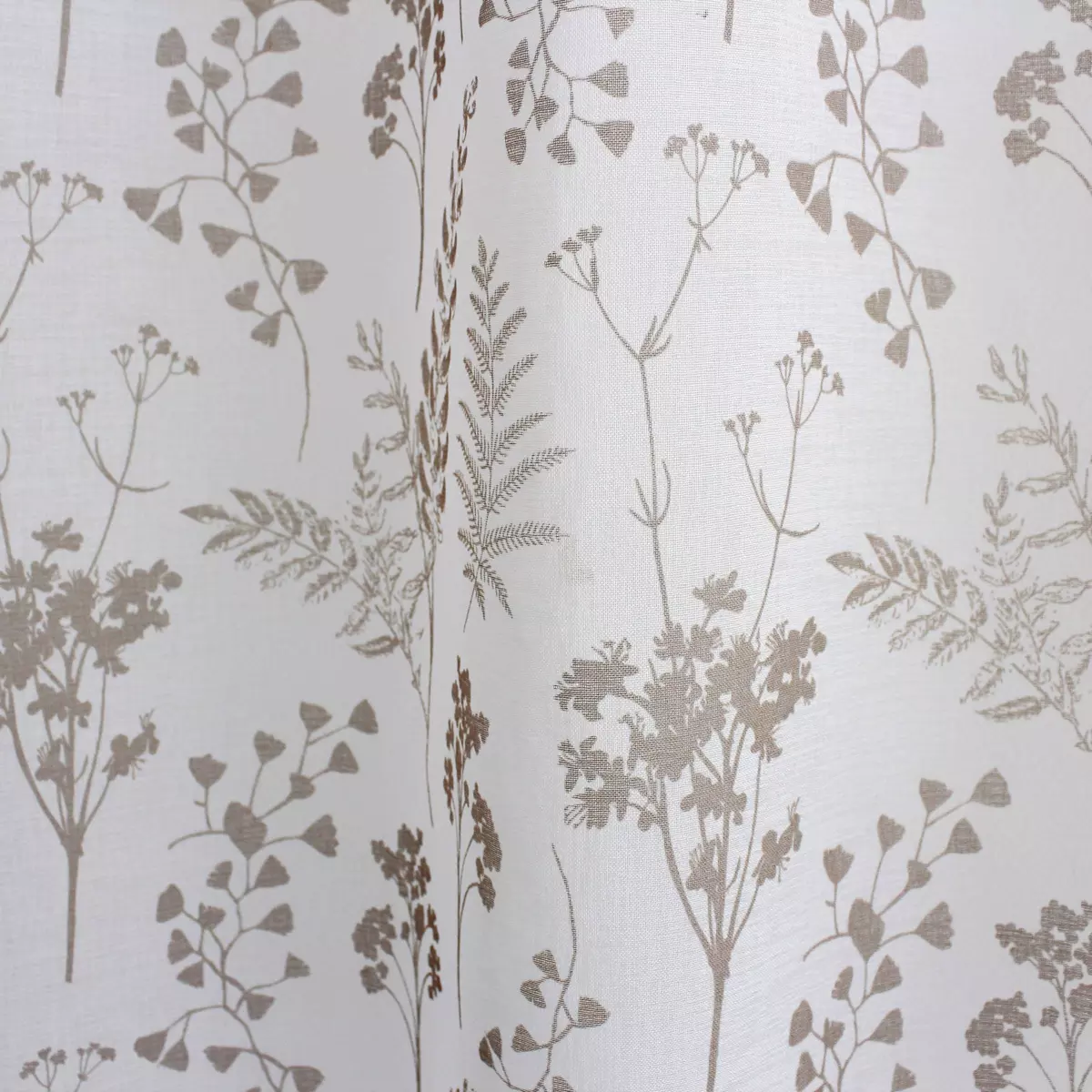 Voilage (140 x 240 cm) Herbier Beige 4