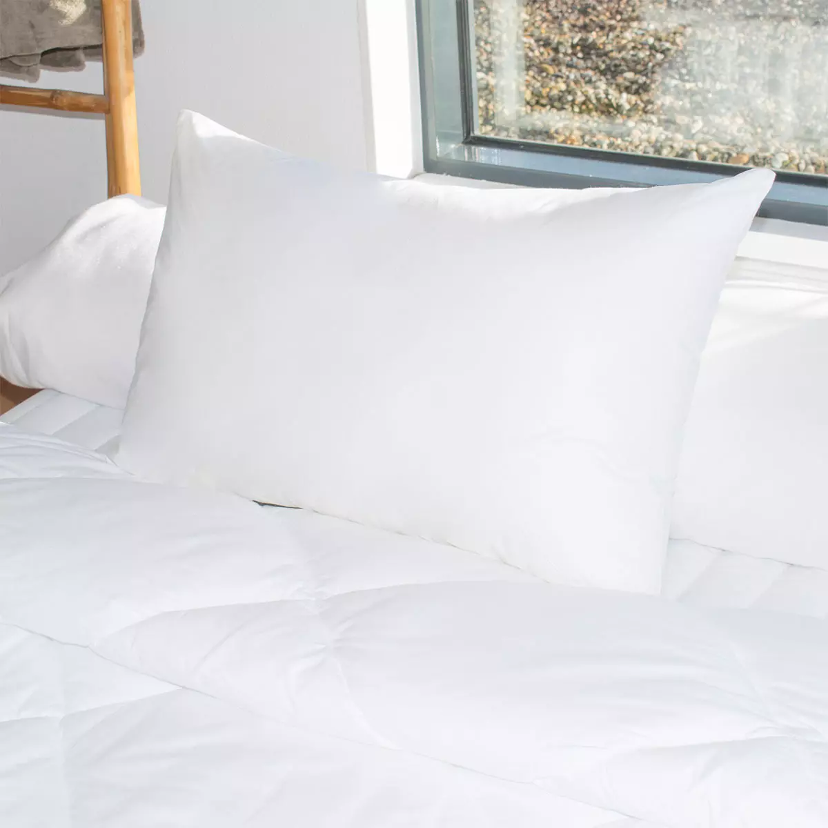 Oreillers rectangulaires - Lot de 2 - Moelleux Anti-acariens Blanc 1